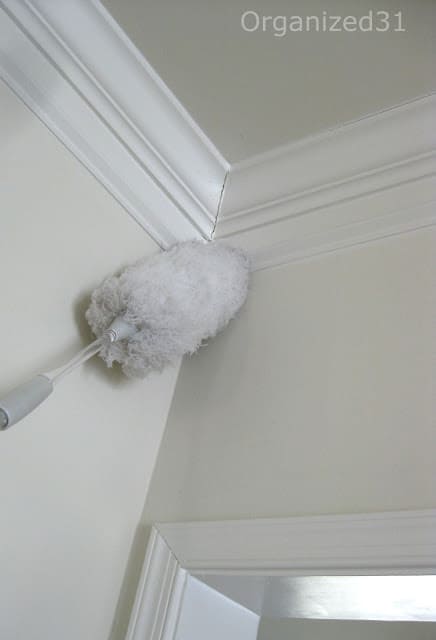 feather duster cleaning corner near ceiling