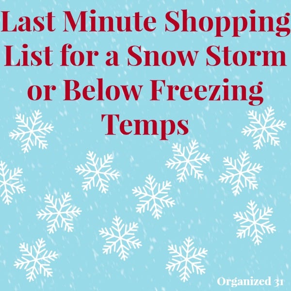 Last-Minute Snow or Freeze Shopping Checklist
