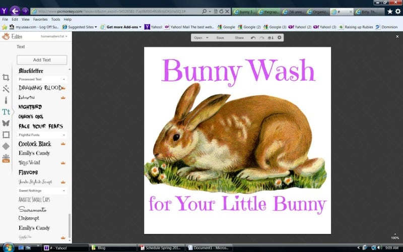an image of a computer screen showing a Bunny Wash for Your Little Bunny label