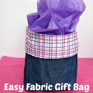Easy Fabric Gift Bag - Organized 31