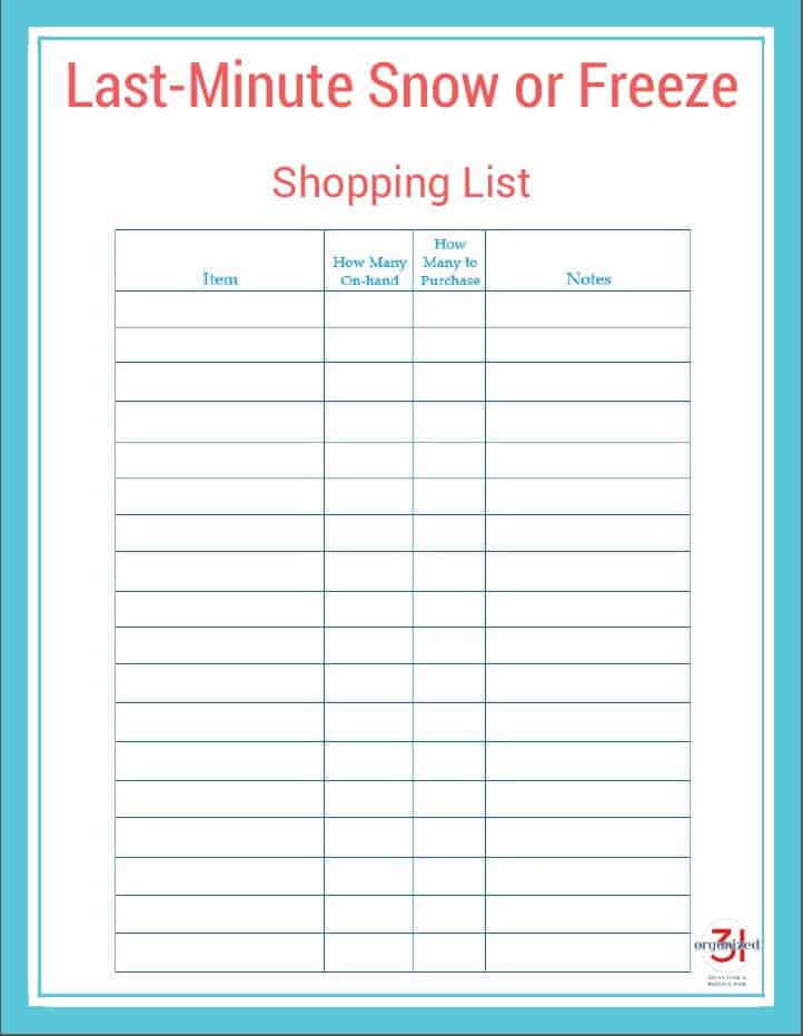 Last-minutes Snow or Freeze Shopping List to help you get the items you really need before the big storm.