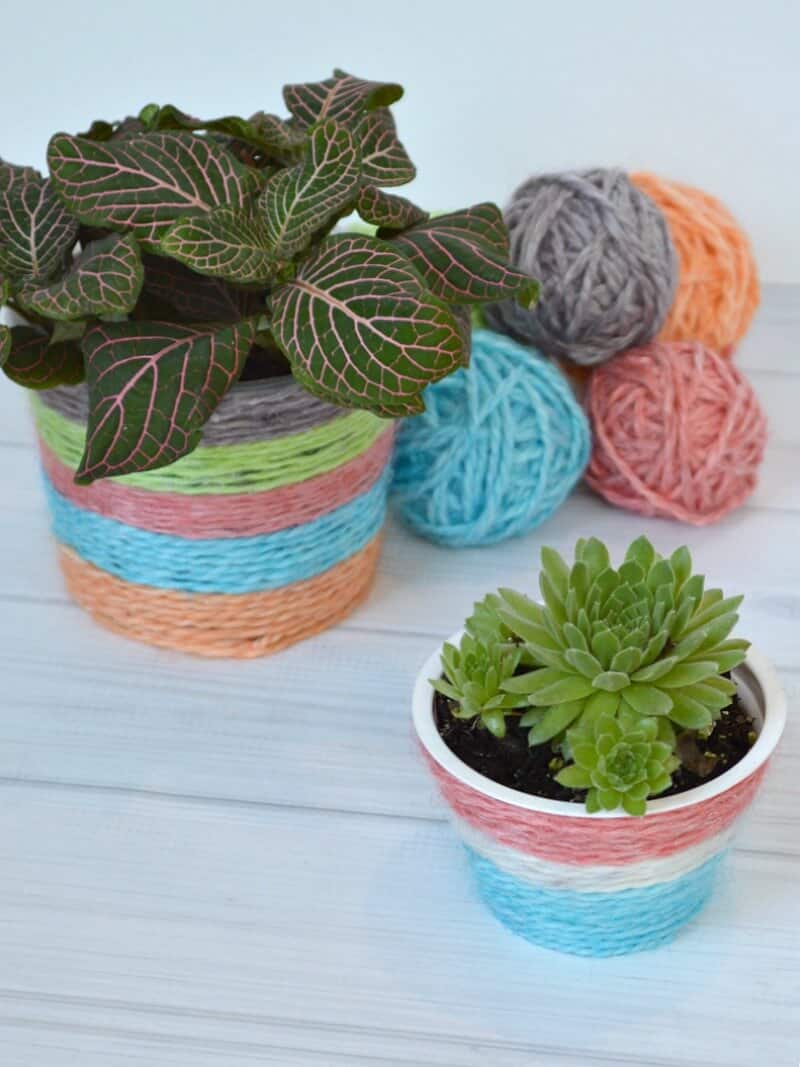close up of two plants in pots wrapped in brightly colored yarn with several brightly colored balls of yarn on white wood table