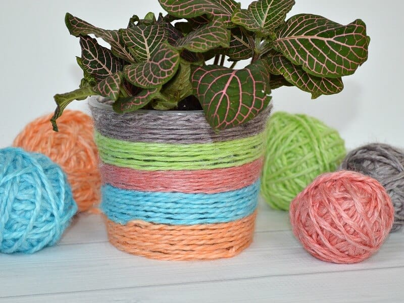 close up of  plant in pot wrapped with rainbow colors of yarn with 5 balls of brightly colored yarn on white wood table