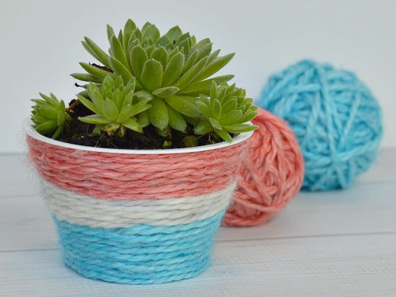 close up of small plant in small pot wrapped with red, white and blue yarn with balls of red and blue yarn in the background