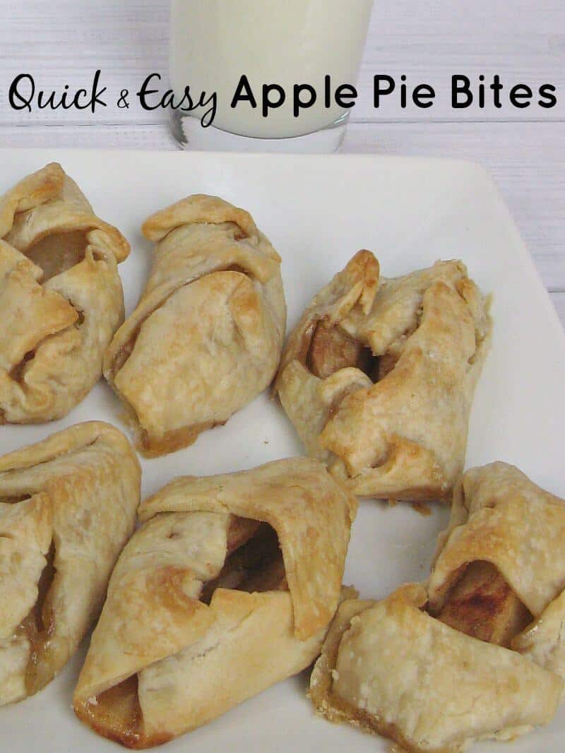close up of rustic apple pie pockets on white plate