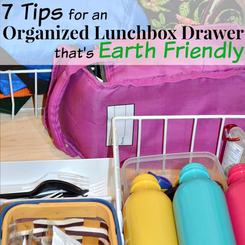 colorful lunch boxes, with bins of neatly organized water bottles and plastic forks