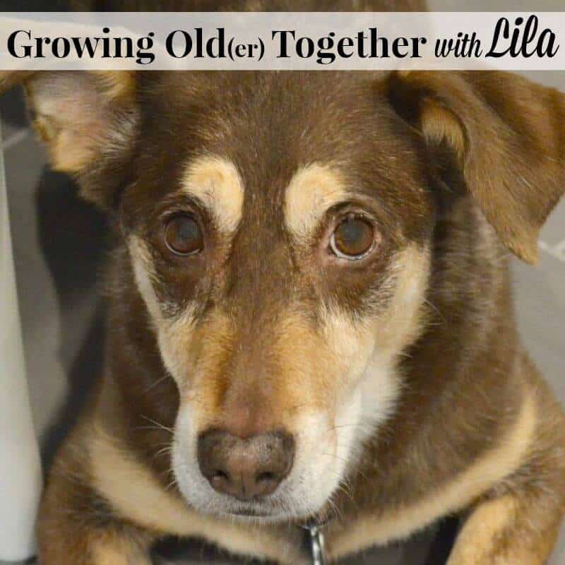 Growing Old(er) Together with Lila