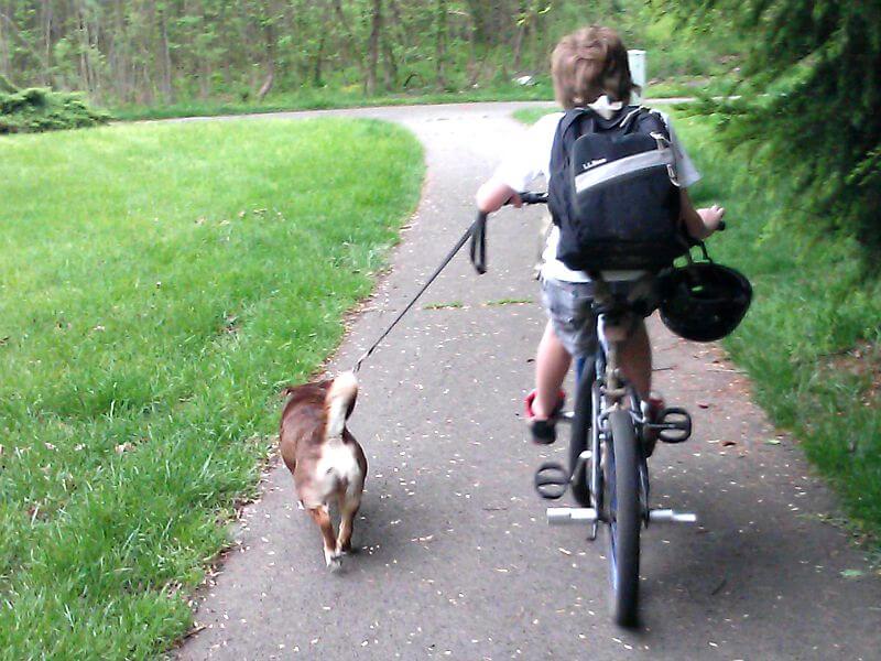 young child riding kike with black backpack and dog on leash 