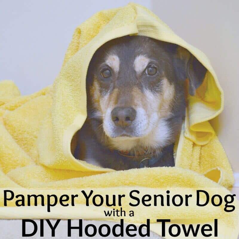 brown and tan dog in yellow hooded towel looking at camera with title text reading Pamper Your Senior Dog with a DIY Hooded Towel