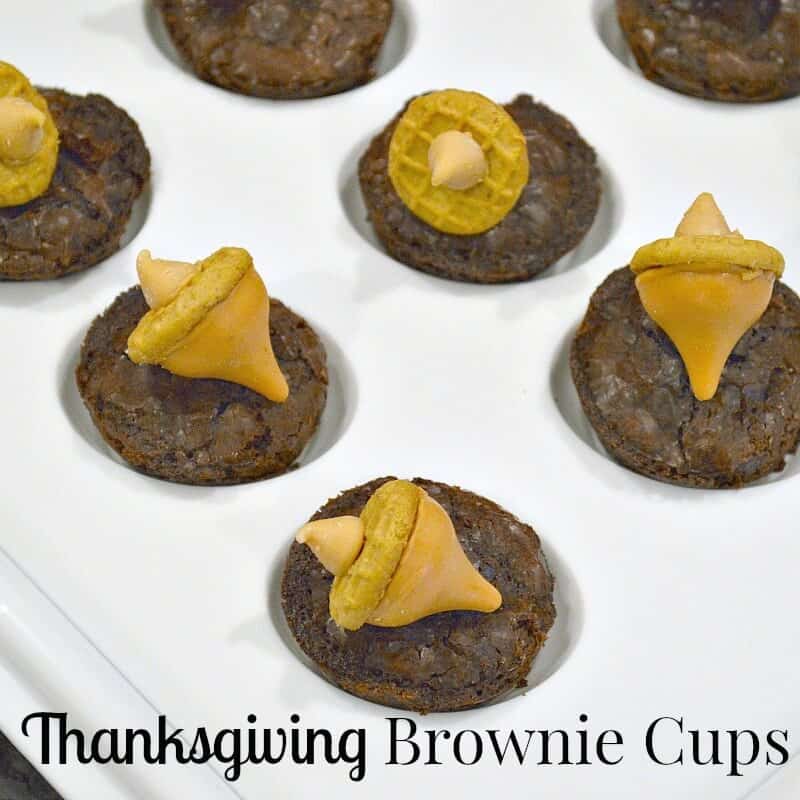 overhead view of white tray of brownie cups with tan candy acorns.