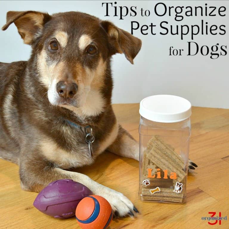 Organize Pet Supplies for Dogs
