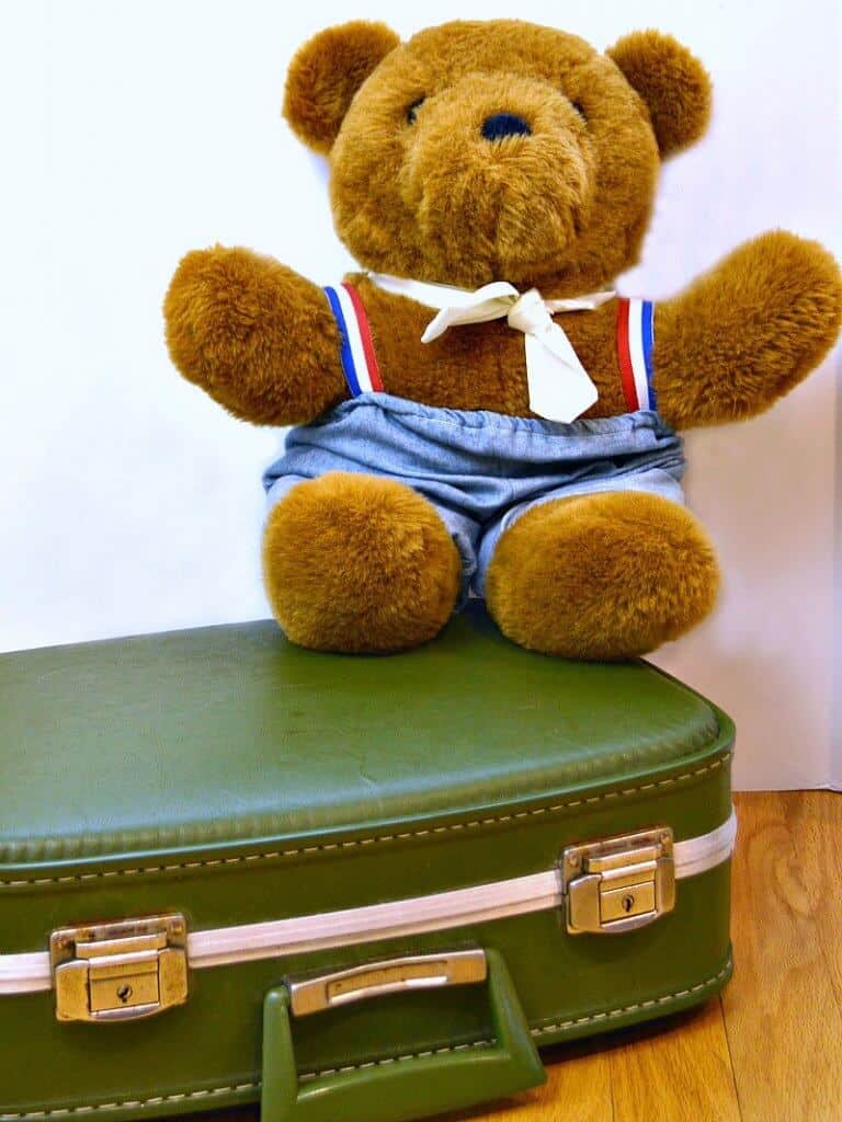 Teddy bear sitting on green suit case