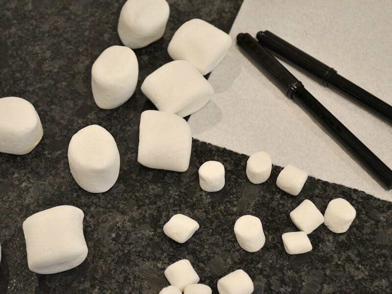 marshmallow in 2 different sizes on black counter, 2 black markers on paper towel