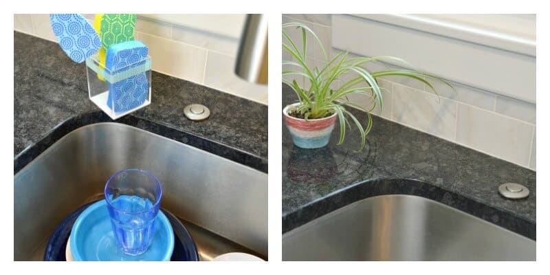 container and plant on black counter next to kitchen sink