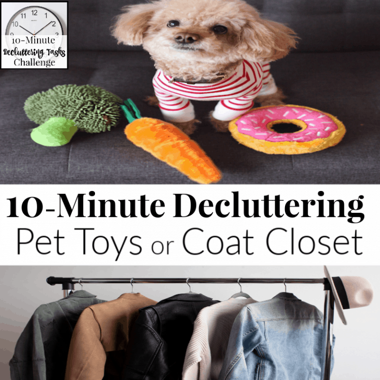 Day 13 Purging Tips – Pet Toys or Coat Closet