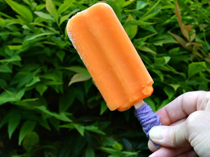 Hand holding an orange popsicle with a purple popsicle holder in front of greenery