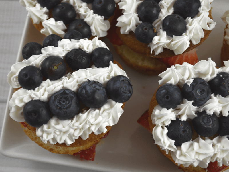 overhead view of desserts with stripes of blueberries and white stars of icing