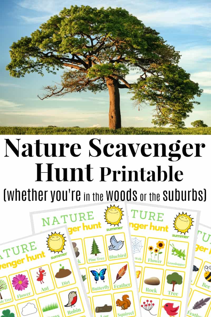 Top image of large tree on hill & bottom image is collage of 4 sheets for nature scavenger hunt with title text in between reading Nature Scavenger Hunt Printable