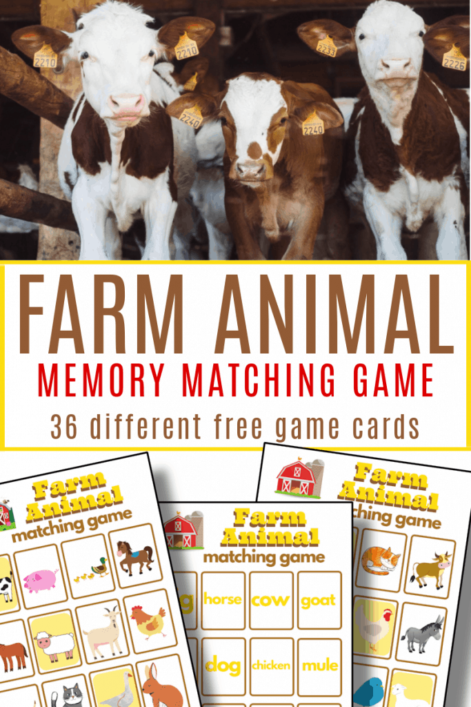 top image - 3 cows looking at camera, bottom image - 3 brightly colored farm animal game sheets with title text reading Farm Animal Memory Matching Game 36 different free game cards