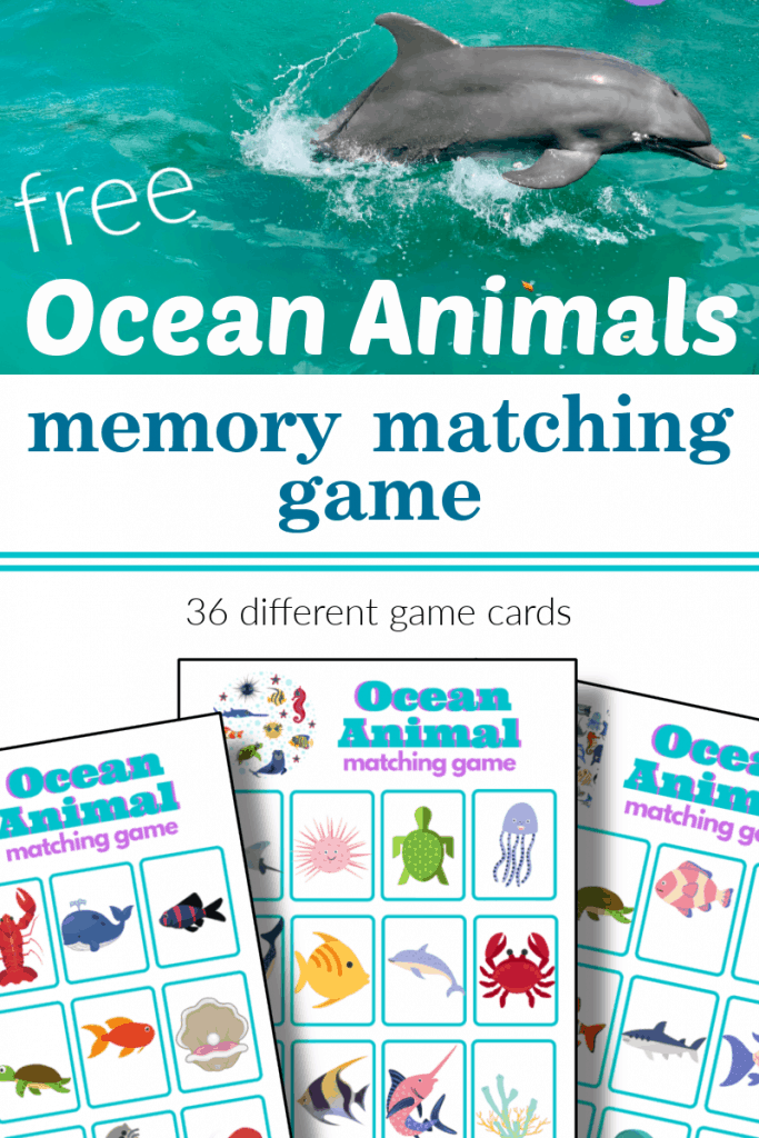 top image - dolphin jumping, bottom image - 3 ocean animal matching game boards