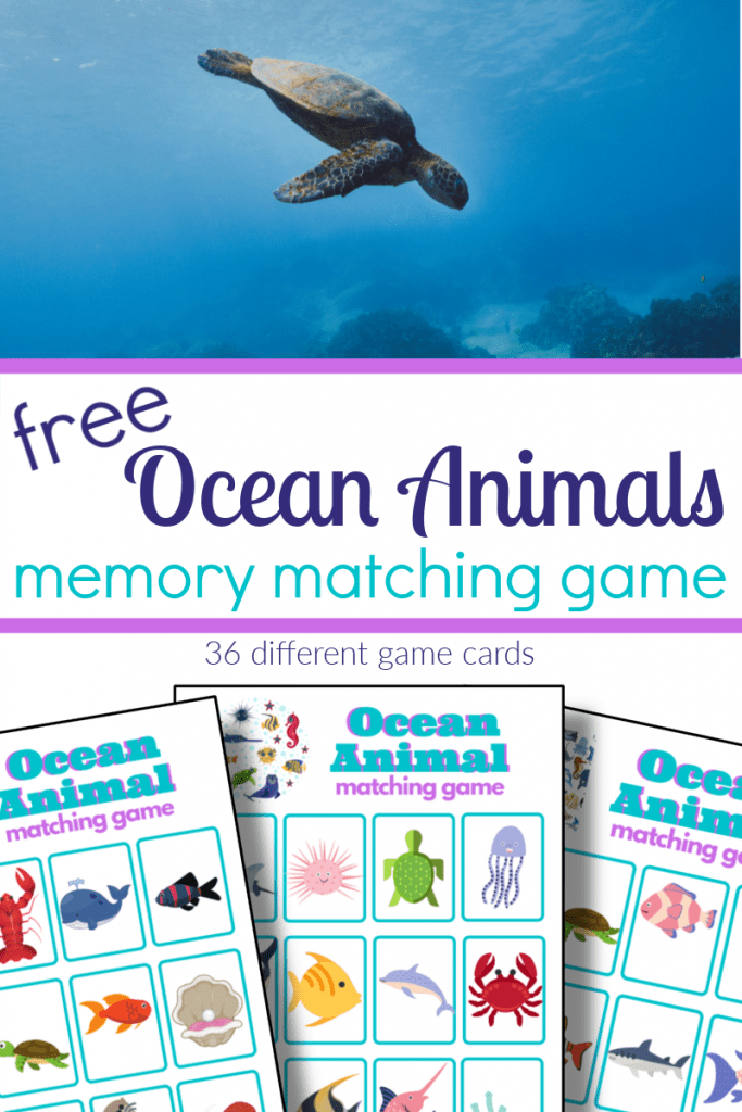 top image - sea turtle in ocean, bottom image - 3 colorful ocean animal memory game sheets with title text reading free Ocean Animals Memory Matching Game