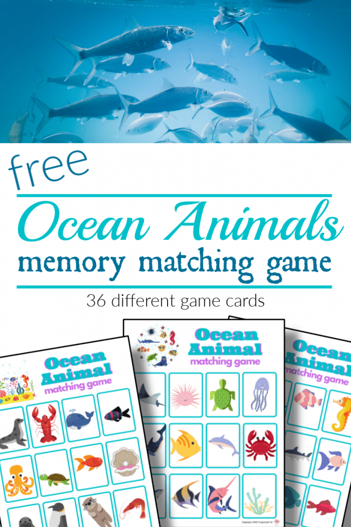 top image - school of large fish, bottom image - 3 brightly colored ocean animal matching game boards with title text reading free Ocean Animals Memory Matching Game