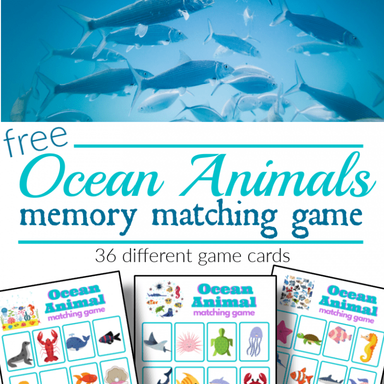 Ocean Animal Memory Matching Game