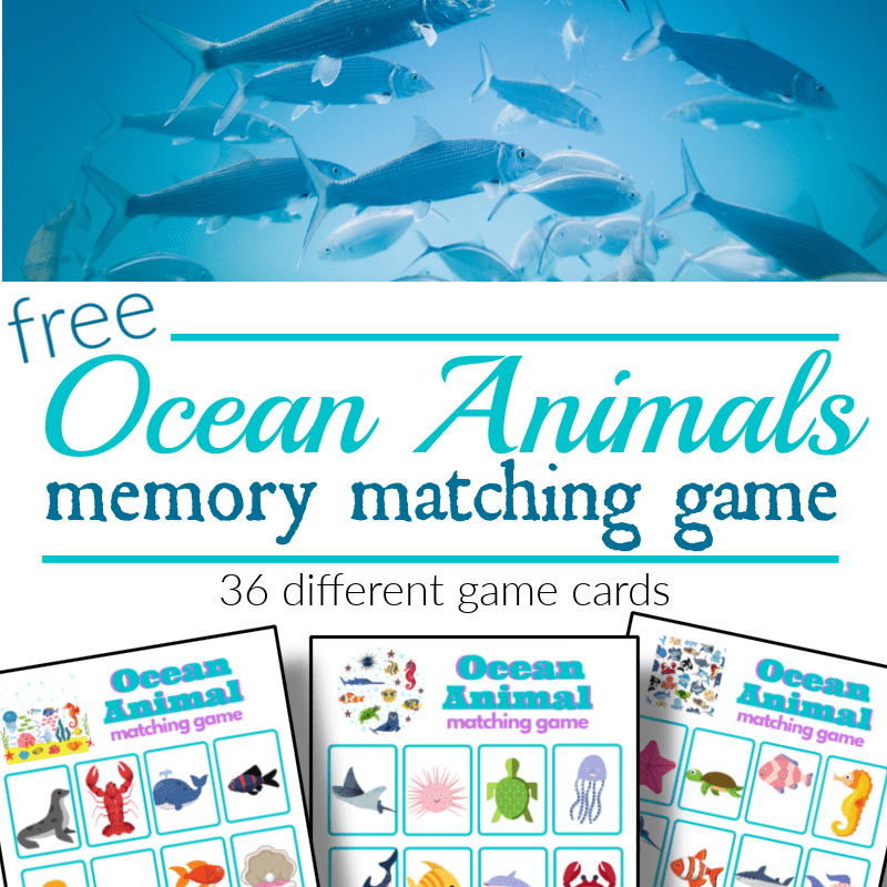 top image - fish in ocean, bottom image - 3 colorful ocean animal memory matching game boards with title text reading free Ocean Animals memory matching game
