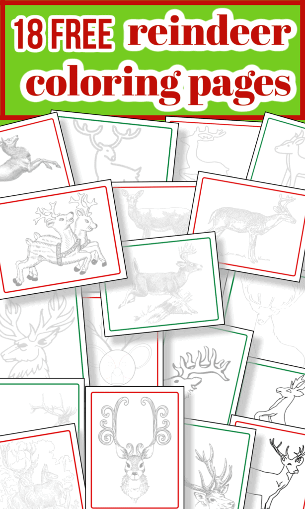 18 reindeer coloring pages scattered on green background