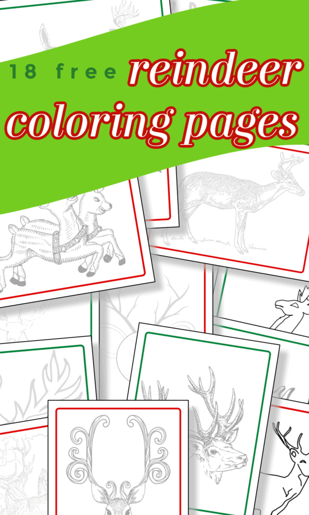 18 different reindeer coloring pages scattered on green background