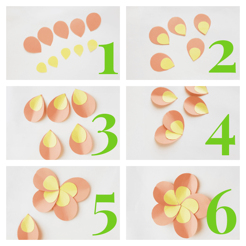 collage of 6 images of steps to make a plumeria paper craft