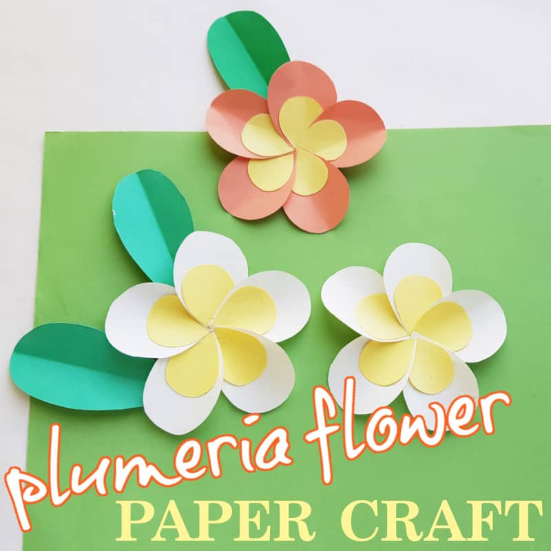 3 paper plumeria flowers with leaves on green background