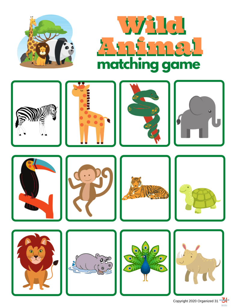 12 colorful wild animal matching game cards