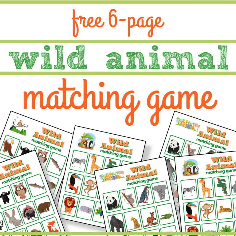 Free Wild Animal Matching Game