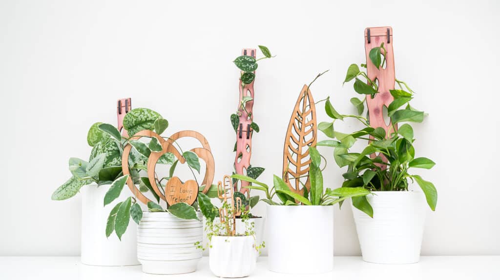 plants in white pots with wood supports in the shapes of plant leaves.